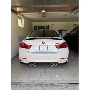 BMW F82 M4 F80 M3 F87 M2C Auspuffblenden